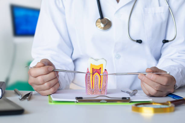 Best Urgent Care for Lost Fillings or Crowns in Everson, WA